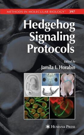 Horabin |  Hedgehog Signaling Protocols | Buch |  Sack Fachmedien