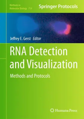 Gerst |  RNA Detection and Visualization | Buch |  Sack Fachmedien