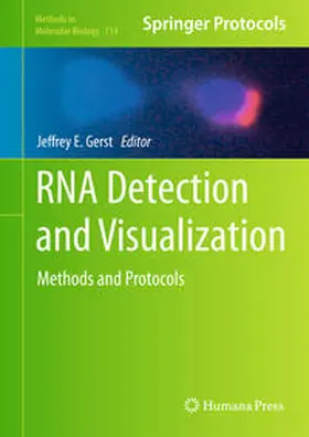 Gerst |  RNA Detection and Visualization | eBook | Sack Fachmedien