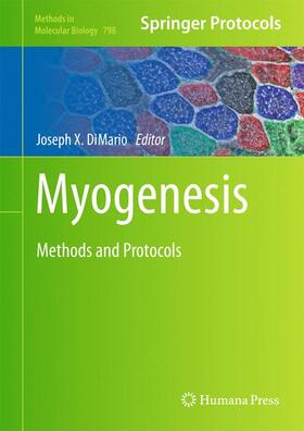 DiMario |  Myogenesis | Buch |  Sack Fachmedien