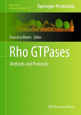 Rivero |  Rho GTPases | Buch |  Sack Fachmedien