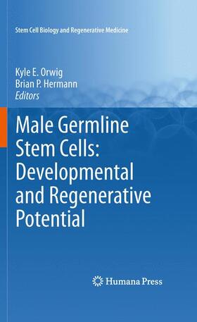 Hermann / Orwig |  Male Germline Stem Cells: Developmental and Regenerative Potential | Buch |  Sack Fachmedien