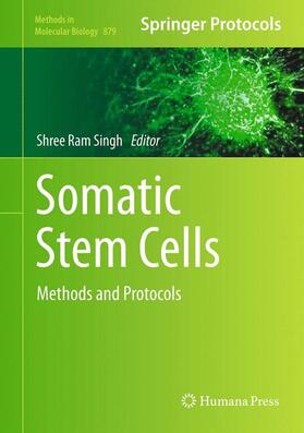 Singh |  Somatic Stem Cells | Buch |  Sack Fachmedien