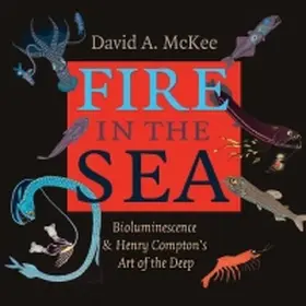 McKee / Compton |  Fire in the Sea | Buch |  Sack Fachmedien