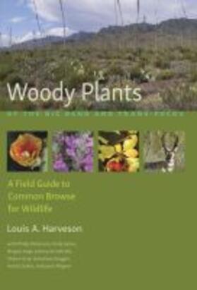 Harveson |  Woody Plants of the Big Bend and Trans-Pecos | Buch |  Sack Fachmedien