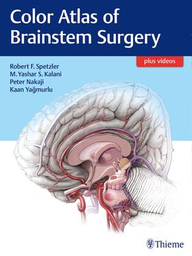Spetzler / Kalani / Nakaji |  Color Atlas of Brainstem Surgery | Buch |  Sack Fachmedien