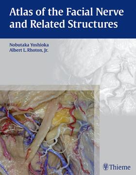 Yoshioka / Rhoton |  Atlas of the Facial Nerve and Related Structures | eBook | Sack Fachmedien