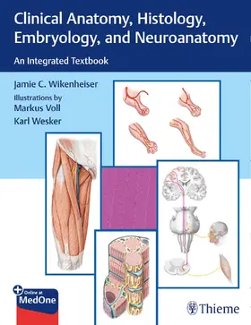 Wikenheiser |  Clinical Anatomy, Histology, Embryology, and Neuroanatomy | Buch |  Sack Fachmedien