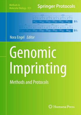 Engel |  Genomic Imprinting | Buch |  Sack Fachmedien