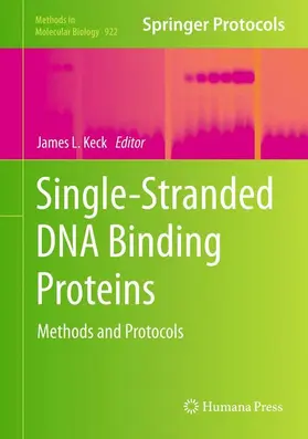 Keck |  Single-Stranded DNA Binding Proteins | Buch |  Sack Fachmedien