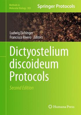 Rivero / Eichinger |  Dictyostelium discoideum Protocols | Buch |  Sack Fachmedien