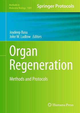 Ludlow / basu |  Organ Regeneration | Buch |  Sack Fachmedien