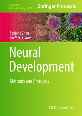 Mei / Zhou |  Neural Development | Buch |  Sack Fachmedien
