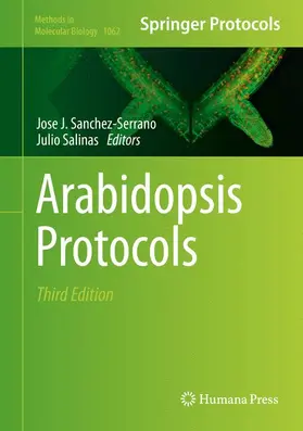 Salinas / Sanchez-Serrano |  Arabidopsis Protocols | Buch |  Sack Fachmedien