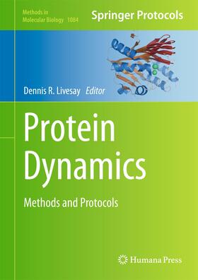 Livesay |  Protein Dynamics | Buch |  Sack Fachmedien