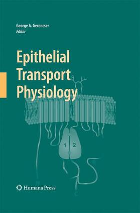 Gerencser |  Epithelial Transport Physiology | Buch |  Sack Fachmedien