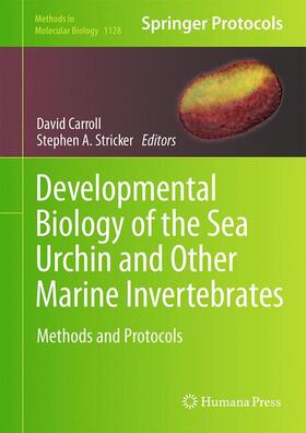 Stricker / Carroll |  Developmental Biology of the Sea Urchin and Other Marine Invertebrates | Buch |  Sack Fachmedien