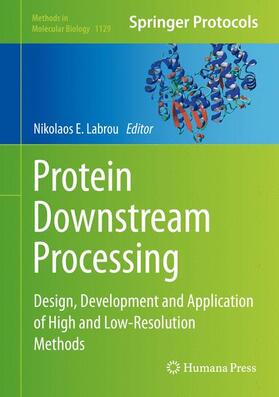 Labrou |  Protein Downstream Processing | Buch |  Sack Fachmedien