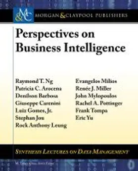  Perspectives on Business Intelligence | Buch |  Sack Fachmedien