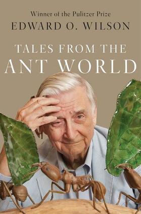 Wilson |  Tales from the Ant World | Buch |  Sack Fachmedien