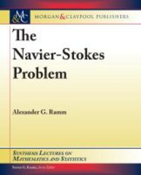  NAVIER-STOKES PROBLEM | Buch |  Sack Fachmedien