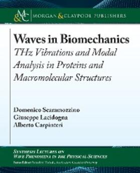 Scaramozzino / Lacidogna / Carpinteri |  Waves in Biomechanics | eBook | Sack Fachmedien