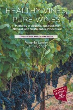 Lanier / Hughes |  Healthy Vines, Pure Wines | eBook | Sack Fachmedien