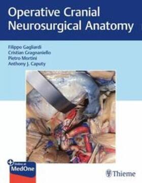 Gagliardi / Gragnaniello / Mortini |  Operative Cranial Neurosurgical Anatomy | eBook | Sack Fachmedien