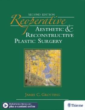Grotting |  Reoperative Aesthetic and Reconstructive Plastic Surgery | eBook | Sack Fachmedien