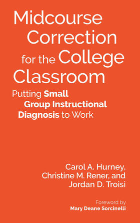 Hurney / Rener / Troisi |  Midcourse Correction for the College Classroom | Buch |  Sack Fachmedien