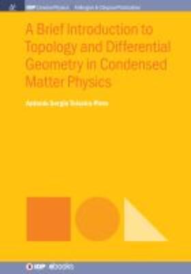 Pires |  A Brief Introduction to Topology and Differential Geometry in Condensed Matter Physics | Buch |  Sack Fachmedien