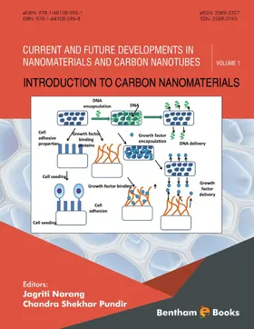 Narang / Pundir |  Introduction to Carbon Nanomaterials | eBook | Sack Fachmedien