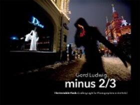 Ludwig |  Minus 2/3 – The Invisible Flash | eBook | Sack Fachmedien