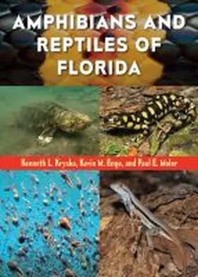  Amphibians and Reptiles of Florida | Buch |  Sack Fachmedien