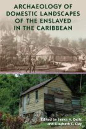 Delle / Clay |  Archaeology of Domestic Landscapes of the Enslaved in the Caribbean | Buch |  Sack Fachmedien