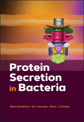 Sandkvist / Cascales / Christie |  Protein Secretion in Bacteria | Buch |  Sack Fachmedien