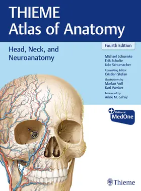 Schuenke / Schulte / Schumacher |  Head, Neck, and Neuroanatomy (THIEME Atlas of Anatomy) | Buch |  Sack Fachmedien