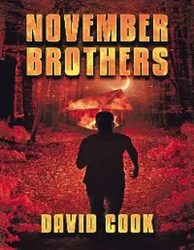 Cook |  November Brothers | eBook | Sack Fachmedien