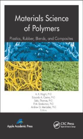 Haghi / Castro / Thomas |  Materials Science of Polymers | Buch |  Sack Fachmedien