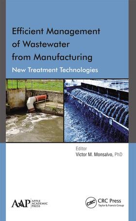 Monsalvo |  Efficient Management of Wastewater from Manufacturing | Buch |  Sack Fachmedien