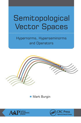 Burgin |  Semitopological Vector Spaces | Buch |  Sack Fachmedien