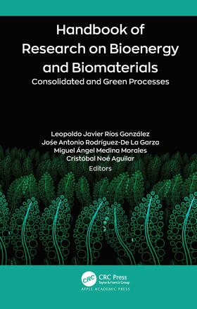 Aguilar / Ríos González / Rodriguez-De La Garza |  Handbook of Research on Bioenergy and Biomaterials | Buch |  Sack Fachmedien