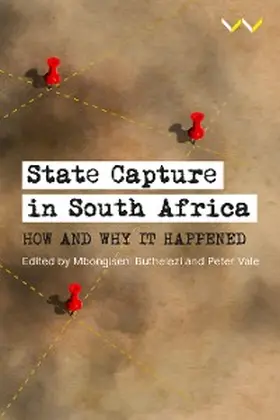 Pillay / Spiropoulos / Rumney | State Capture in South Africa | E-Book | sack.de