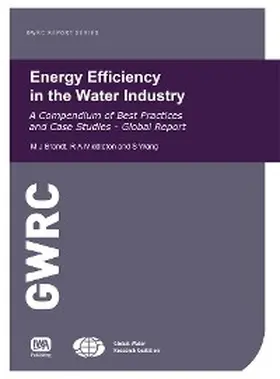 Brandt / Middleton / Wang |  Energy Efficiency in the Water Industry | eBook | Sack Fachmedien