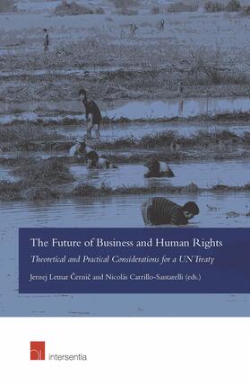  The Future of Business and Human Rights | Buch |  Sack Fachmedien