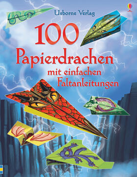 Baer |  100 Papierdrachen mit einfachen Faltanleitungen | Sonstiges |  Sack Fachmedien