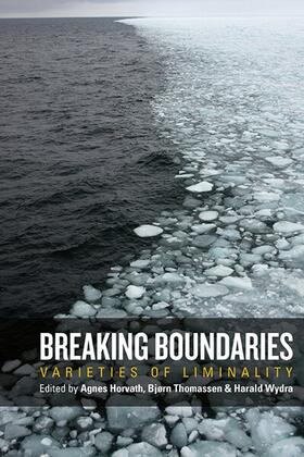 Horvath / Thomassen / Wydra |  Breaking Boundaries | Buch |  Sack Fachmedien