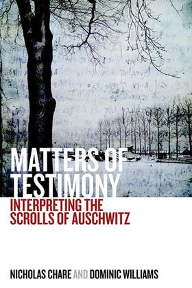 Chare / Williams |  Matters of Testimony | Buch |  Sack Fachmedien