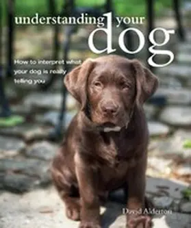 Alderton |  Understanding Your Dog | eBook | Sack Fachmedien