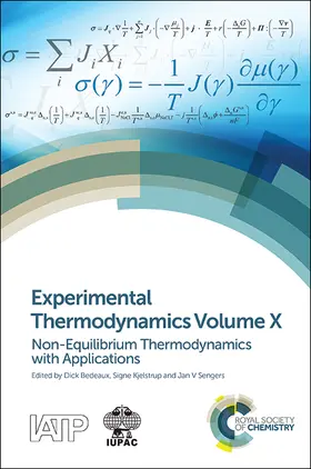 Bedeaux / Kjelstrup / Sengers |  Experimental Thermodynamics Volume X | Buch |  Sack Fachmedien